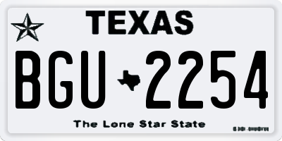 TX license plate BGU2254