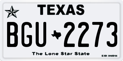 TX license plate BGU2273