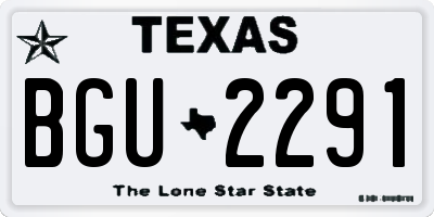 TX license plate BGU2291