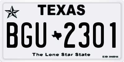 TX license plate BGU2301