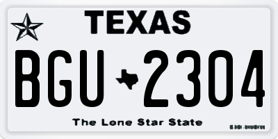TX license plate BGU2304