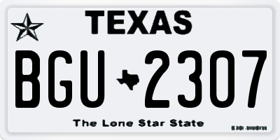TX license plate BGU2307