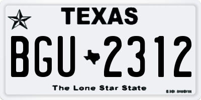 TX license plate BGU2312