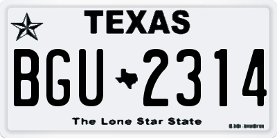 TX license plate BGU2314