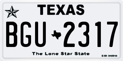 TX license plate BGU2317