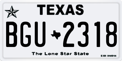 TX license plate BGU2318
