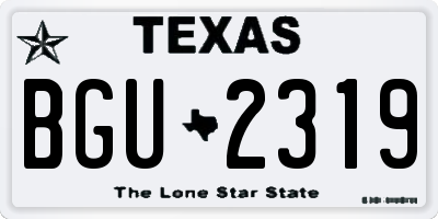 TX license plate BGU2319