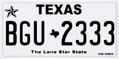 TX license plate BGU2333