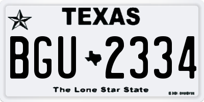 TX license plate BGU2334