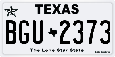 TX license plate BGU2373