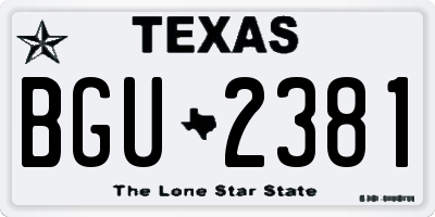TX license plate BGU2381