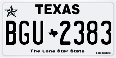 TX license plate BGU2383