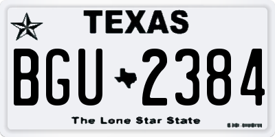 TX license plate BGU2384