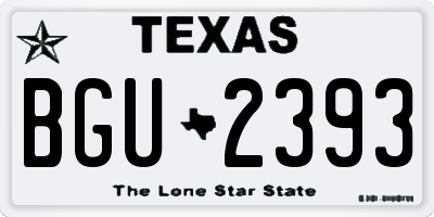 TX license plate BGU2393