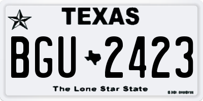 TX license plate BGU2423