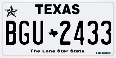 TX license plate BGU2433