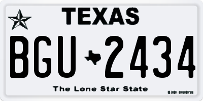 TX license plate BGU2434