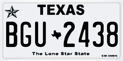 TX license plate BGU2438