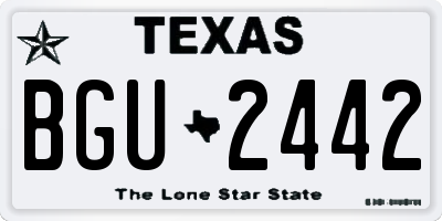 TX license plate BGU2442