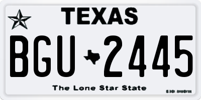 TX license plate BGU2445