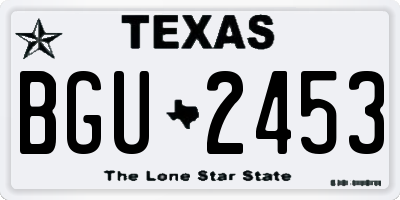 TX license plate BGU2453