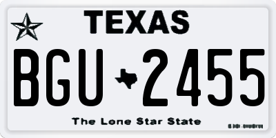 TX license plate BGU2455
