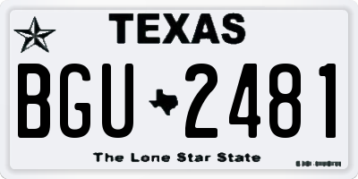 TX license plate BGU2481