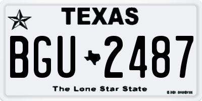 TX license plate BGU2487