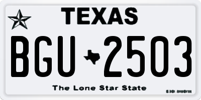 TX license plate BGU2503