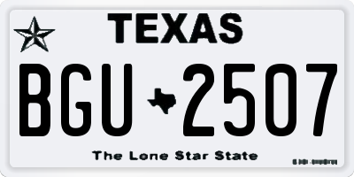 TX license plate BGU2507