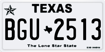 TX license plate BGU2513