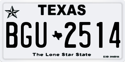 TX license plate BGU2514
