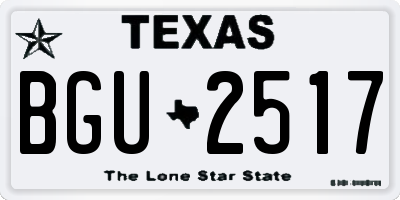 TX license plate BGU2517