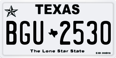 TX license plate BGU2530