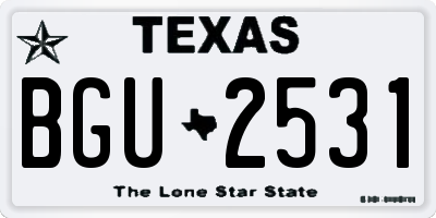 TX license plate BGU2531