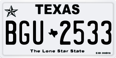 TX license plate BGU2533
