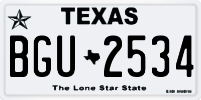 TX license plate BGU2534