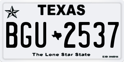 TX license plate BGU2537