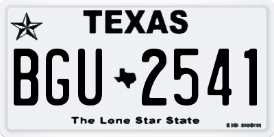 TX license plate BGU2541