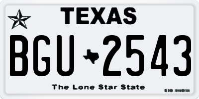 TX license plate BGU2543