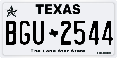 TX license plate BGU2544