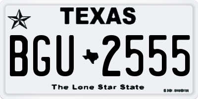 TX license plate BGU2555
