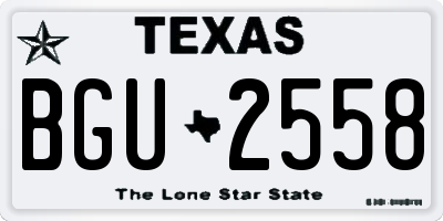 TX license plate BGU2558