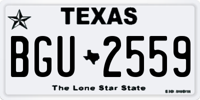 TX license plate BGU2559
