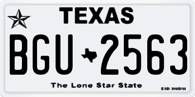 TX license plate BGU2563