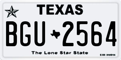 TX license plate BGU2564