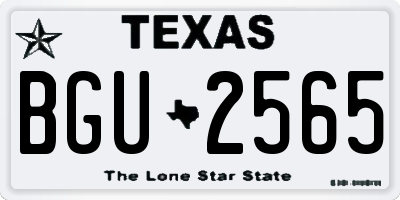 TX license plate BGU2565