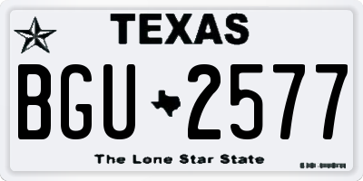 TX license plate BGU2577