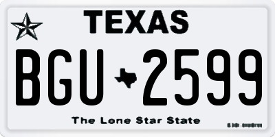 TX license plate BGU2599