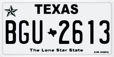 TX license plate BGU2613